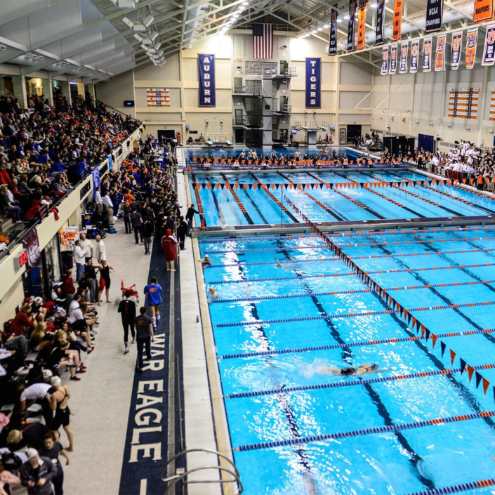 james e martin aquatic center swimming diving water sports relay backstroke butterfly stroke freestyle swim dive auburn sports alabama