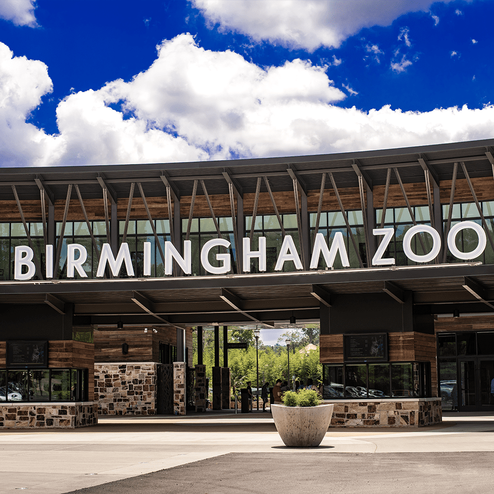 Birmingham Zoo Sports Alabama Entertain Explore Animals fun family visit tourism shows exhibits reptiles birds
