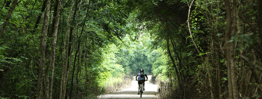 birmingham sports alabama tourism event Track and field
Cross country
Trail running
Biking
Cycling
Hiking
Athletics
Endurance
Marathon
Long distance
Pacing
Relay race
Racing
Mile run