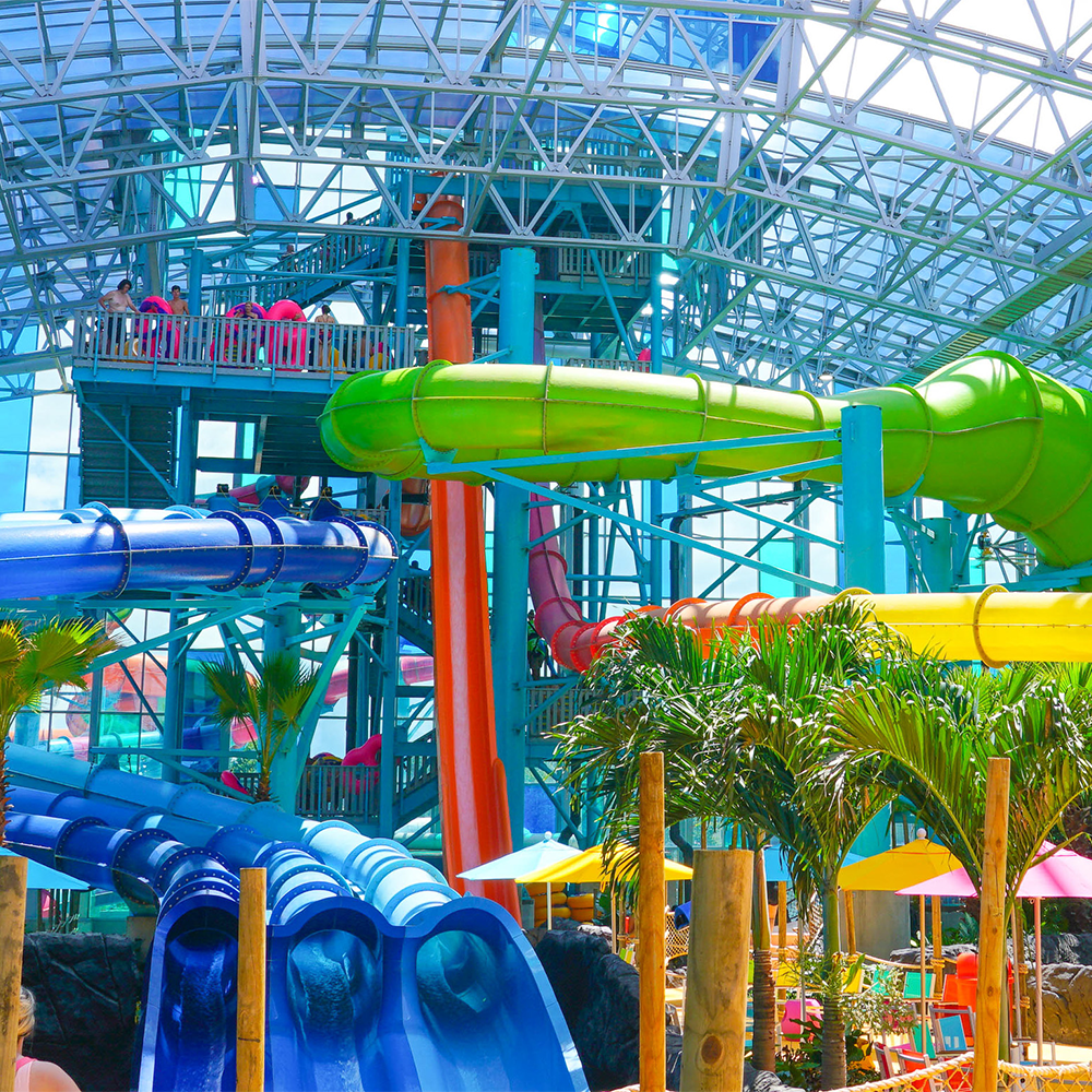 OWA Water Park Foley Sports Alabama family entertainment aquatics slides theme park rides resort dining reservations indoor outdoor wave pool swimming