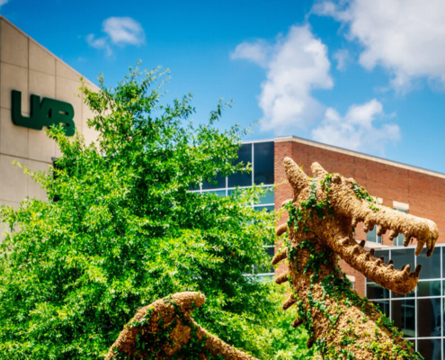 University of Alabama at Birmingham Sports alabama tourism Baseball
tournament
championship
stadium 
college NCAA field game
bullpen complex softball basketball
volleyball
cheer
competition
court sports